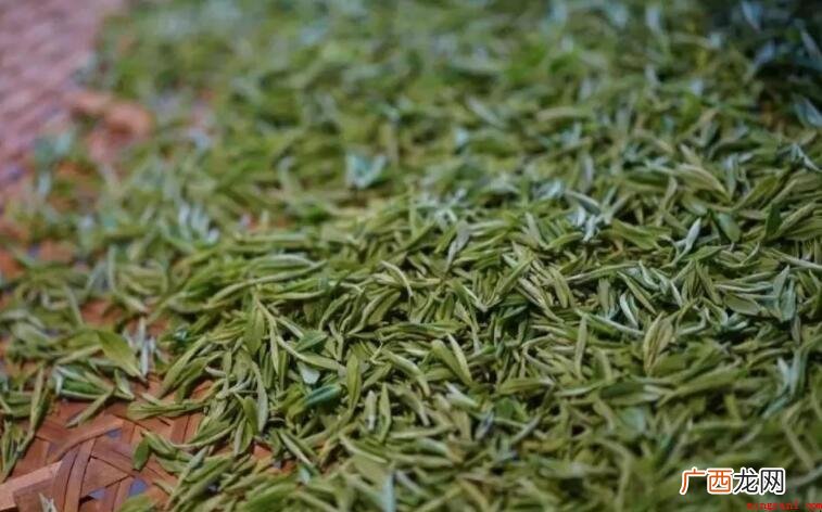 杭州径山茶属于什么茶