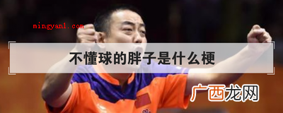 刘国梁:后边坐下来的胖子是国内的高官吗?全场就他不懂台球 不懂球的胖子是什么梗是什么意思