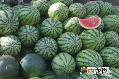 美都西瓜怎么辨别,吉甜盛美都西瓜种植管理？