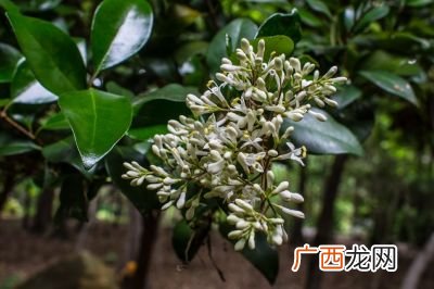 海涵和包涵是什么意思,海涵的意思是什么？