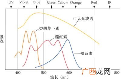 光的频率与能量有什么关系,能量和频率有什么区别？