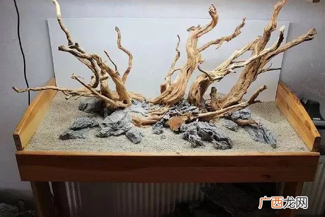 造景沉木是什么木头,鱼缸水沉木是什么木？