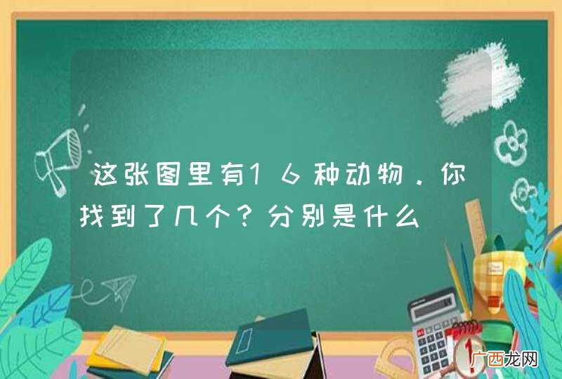 这张图里有16种动物。你找到了几个？分别是什么