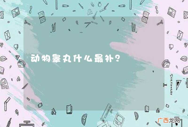 动物睾丸什么最补？