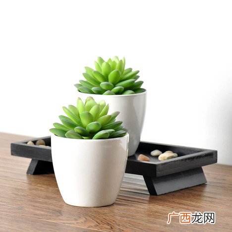绿色植物对人类有什么好处,植物的光合作用有什么好处？
