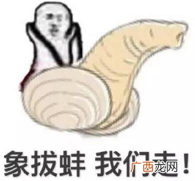 象拔蚌是什么意思什么梗？象拔蚌污内涵 世上最下流的海鲜形似男人丁丁