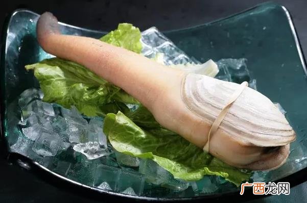 象拔蚌是什么意思什么梗？象拔蚌污内涵 世上最下流的海鲜形似男人丁丁