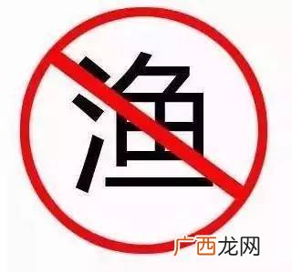 什么是禁渔期,禁渔期是什么时候?
