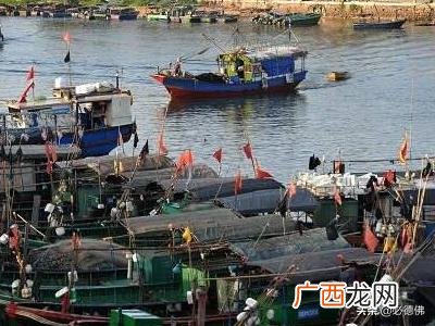 什么是禁渔期,禁渔期是什么时候?