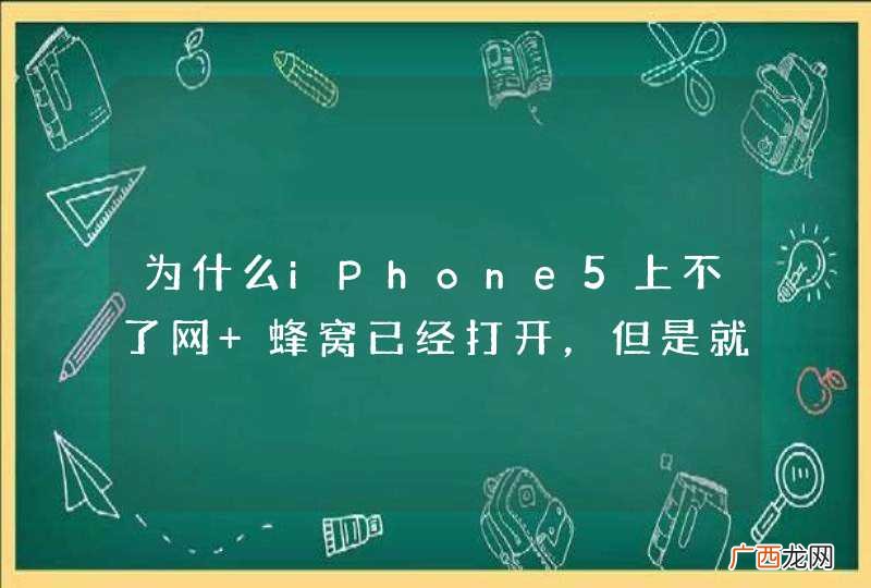 为什么iPhone5上不了网 蜂窝已经打开，但是就是上不了网！