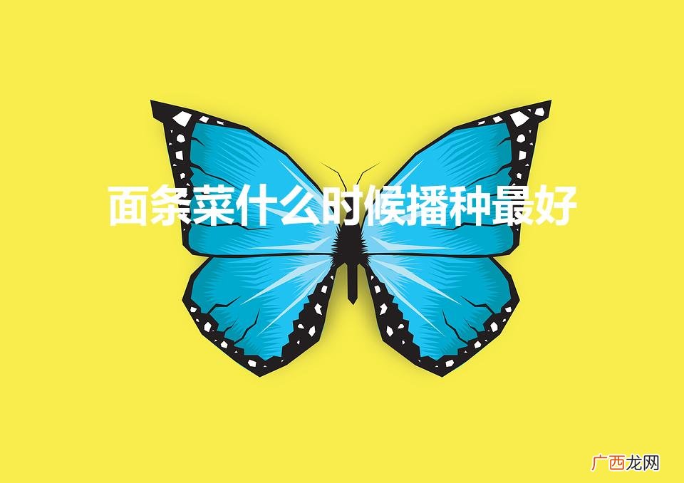 面条菜什么时候播种最好（面条菜什么季节会生长)