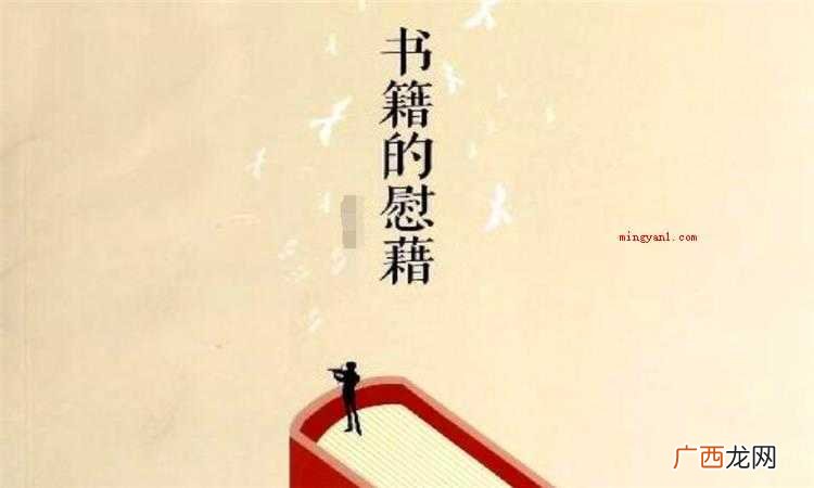 慰藉是什么意思