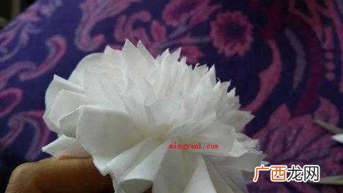 扫墓的小白花怎么折？