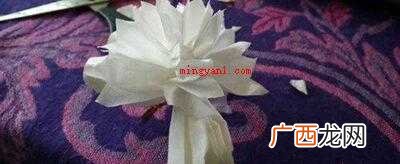 扫墓的小白花怎么折？