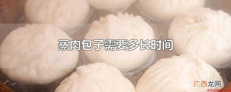 蒸肉包子需要多长时间