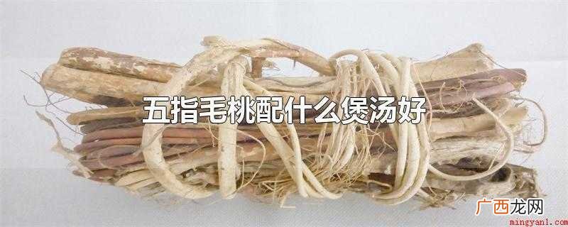 五指毛桃配什么煲汤好