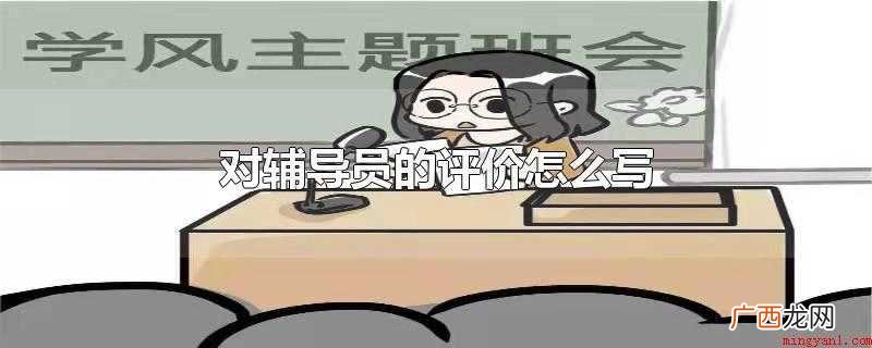 对辅导员的评价怎么写