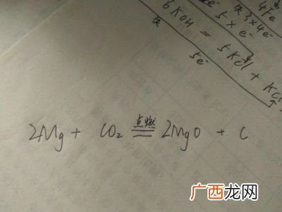 镁带在二氧化碳中燃烧的现象,镁和二氧化碳能发生反应吗？