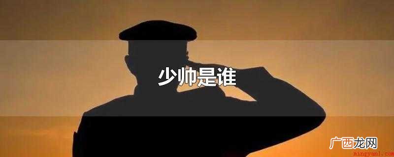 少帅是谁