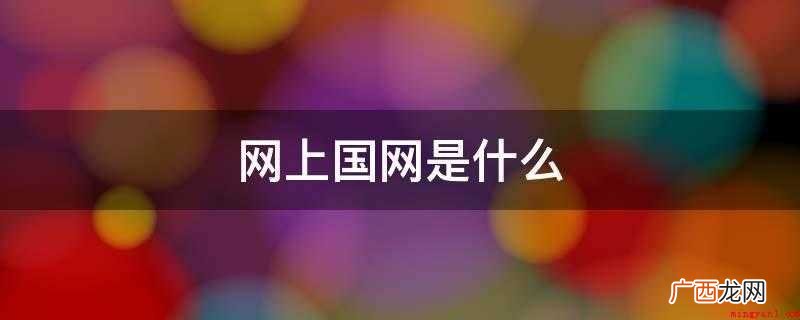 网上国网是什么