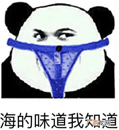 海的味道我知道是什么意思什么梗 说女人大海的味道比较污的意思