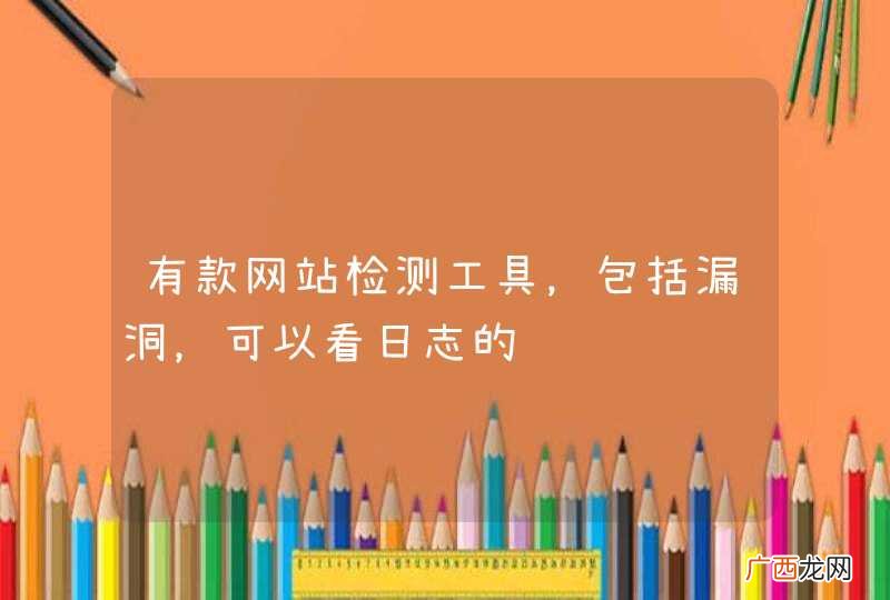 有款网站检测工具，包括漏洞，可以看日志的