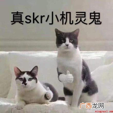 你真是个小机灵鬼