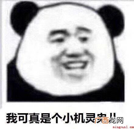 你真是个小机灵鬼
