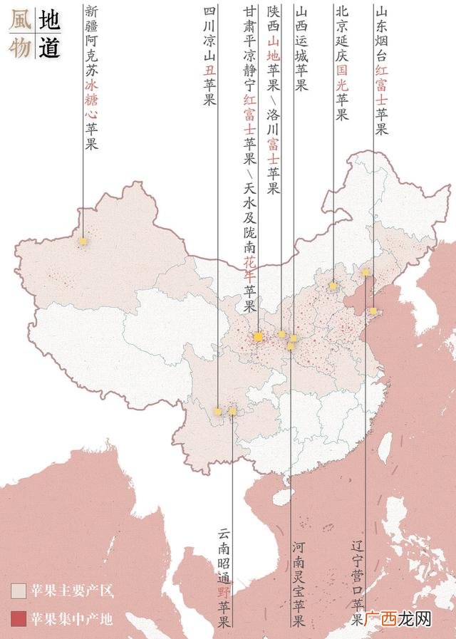 苹果的产地主要在哪里,苹果产自？