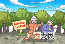 森林火警电话号码,森林防火若干规定？