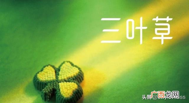 猫咪吃草怎么回事,狗狗吃草怎么办？