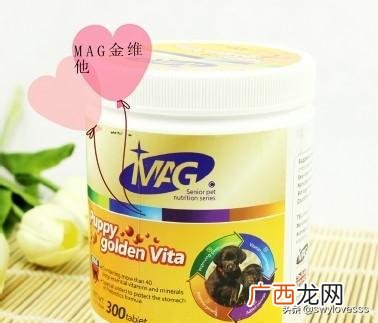 猫咪吃草怎么回事,狗狗吃草怎么办？