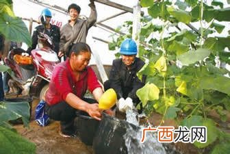 什么是农业电气化与自动化,农业机械化及其自动化和农业电气化啥区别?