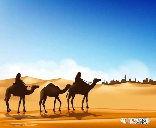 沙漠之舟是什么动物,在埃及数骆驼中为什么把骆驼称为沙漠之舟？