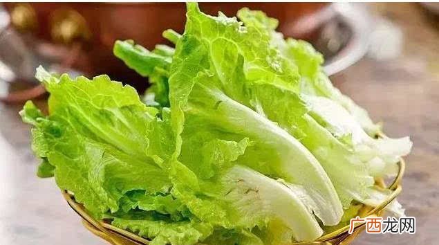 玻璃生菜又叫什么,莆田话说的玻璃菜是什么菜？