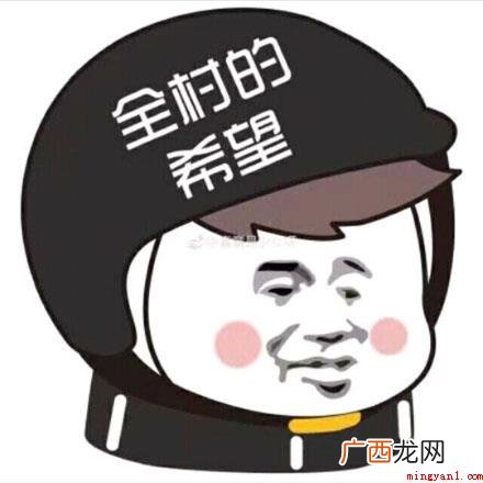 全村的希望是什么梗