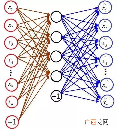 SAE在医学中什么意思,临床管理中monitor职责？