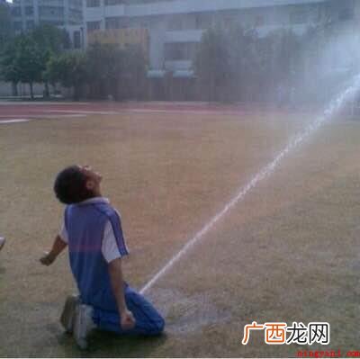 贱百科要说的一个常见的网络流行语 我tm社保是什么意思