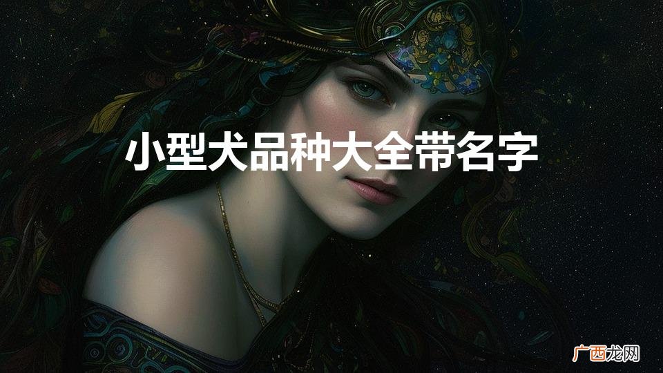 小型犬品种大全带名字（小型犬品种大全带名字加价格)
