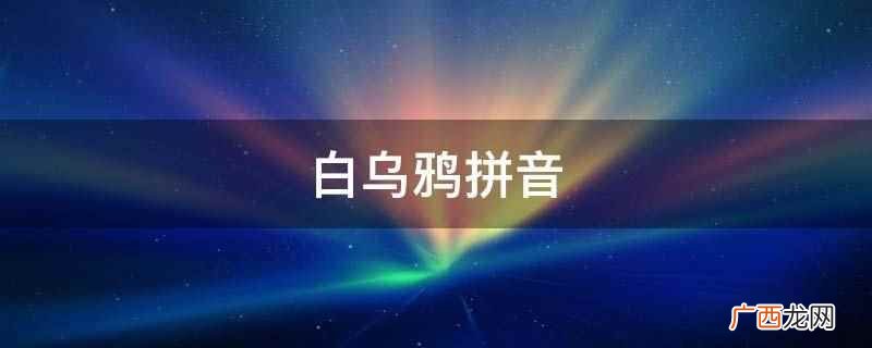 白乌鸦拼音