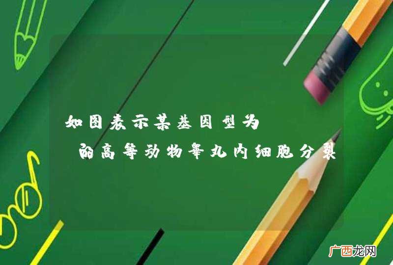 如图表示某基因型为AaBb的高等动物睾丸内细胞分裂图象和染色体数目变化曲线．请根据图回答下面的问题．（