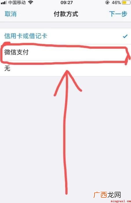 苹果手机支付如何改成微信支付 苹果手机支付怎么改成微信支付