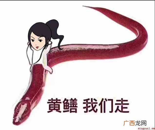世道人不如海鲜,海鲜们一个比一个火,先是皮皮虾,再是黄鳝,做 女主播黄鳝是什么梗