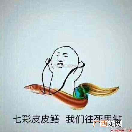 世道人不如海鲜,海鲜们一个比一个火,先是皮皮虾,再是黄鳝,做 女主播黄鳝是什么梗