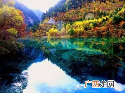 九寨沟的具体位置在哪,九寨沟风景区位于我国的哪一个省份？
