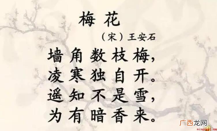 《梅花》的作者是谁 《临川集》等作品存在 《梅花》的作者是谁