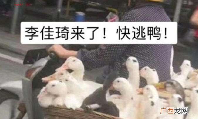 01duck不必是英语单词的谐音 duck不必是什么梗？是什么意思