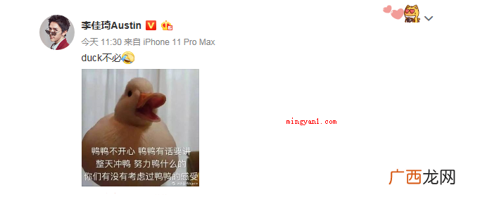 01duck不必是英语单词的谐音 duck不必是什么梗？是什么意思