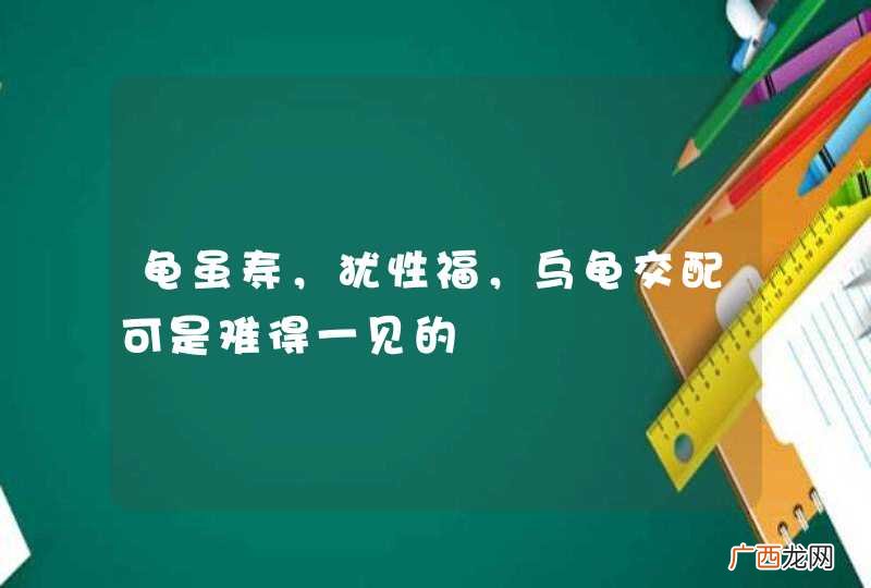 龟虽寿，犹性福，乌龟交配可是难得一见的
