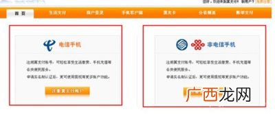 易支付是什么,易币付是什么